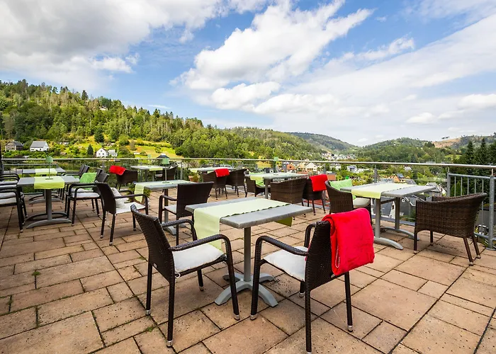 Schoene Aussicht Otel Steinach (Thuringia)